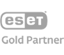 Logo zertifizierter ESET-Partner